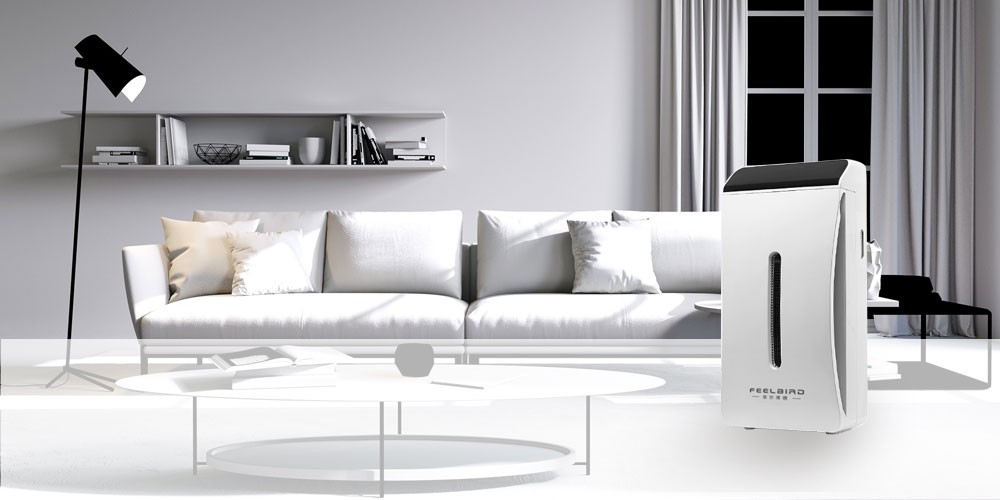 常态化空气净化（设备租赁）