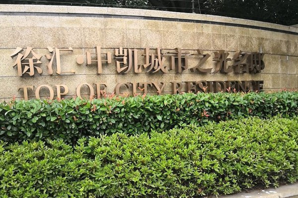 徐汇中凯城市之光